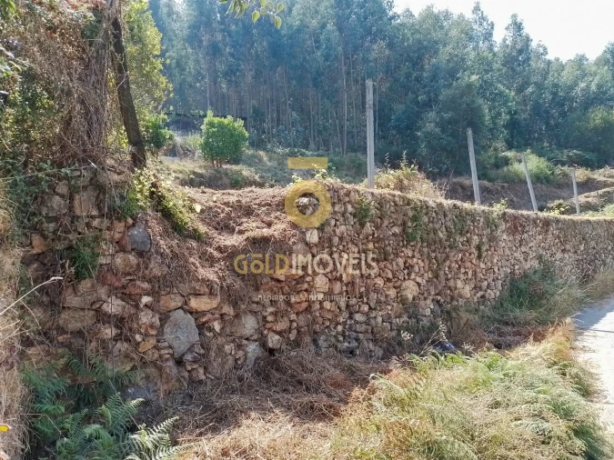 Terreno para Venda em Raiva, Pedorido e Paraíso Foto 13