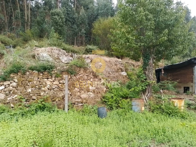 Terreno para Venda em Raiva, Pedorido e Paraíso Foto 9
