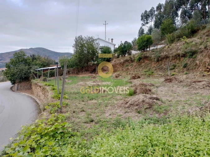 Terreno para Venda em Raiva, Pedorido e Paraíso Foto 5