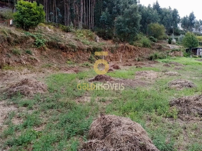 Terreno para Venda em Raiva, Pedorido e Paraíso Foto 4