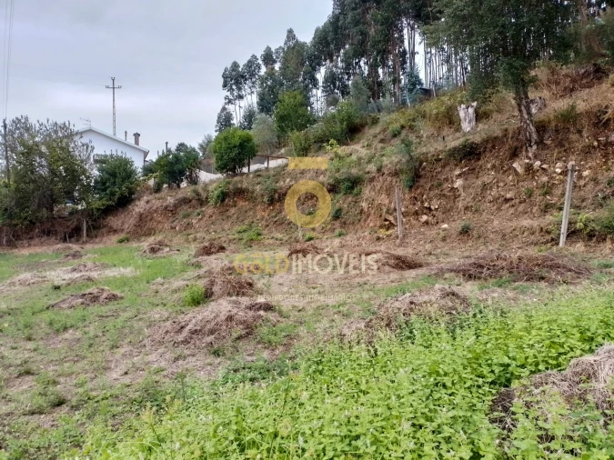 Terreno para Venda em Raiva, Pedorido e Paraíso Foto 3