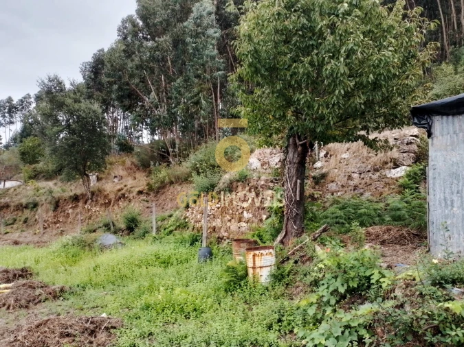 Terreno para Venda em Raiva, Pedorido e Paraíso Foto 11