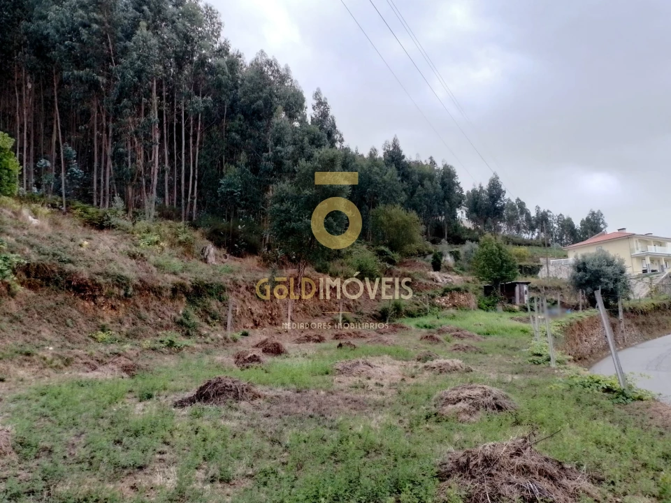 Terreno para Venda em Raiva, Pedorido e Paraíso Foto 2