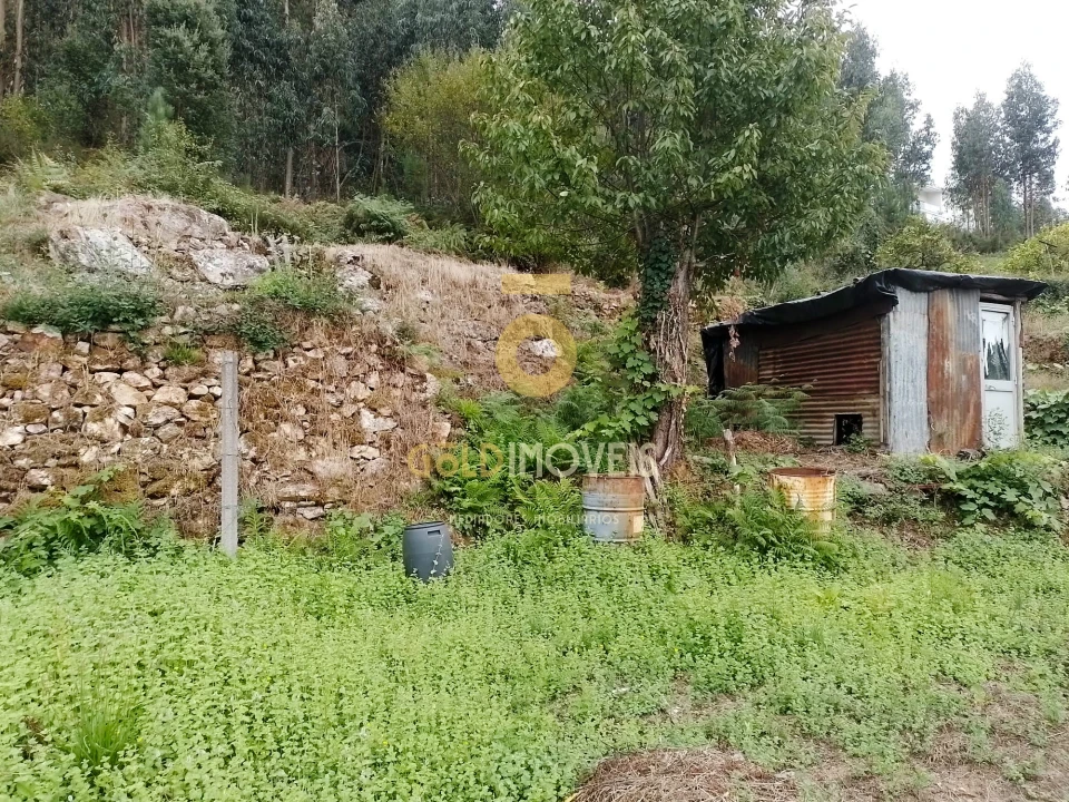 Terreno para Venda em Raiva, Pedorido e Paraíso Foto 7