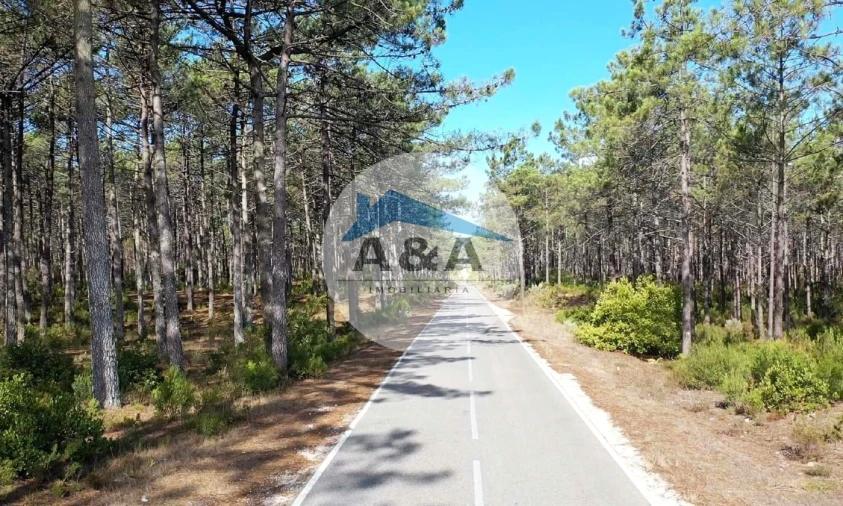 Moradia T3 para Venda em Pataias e Martingança Foto 15