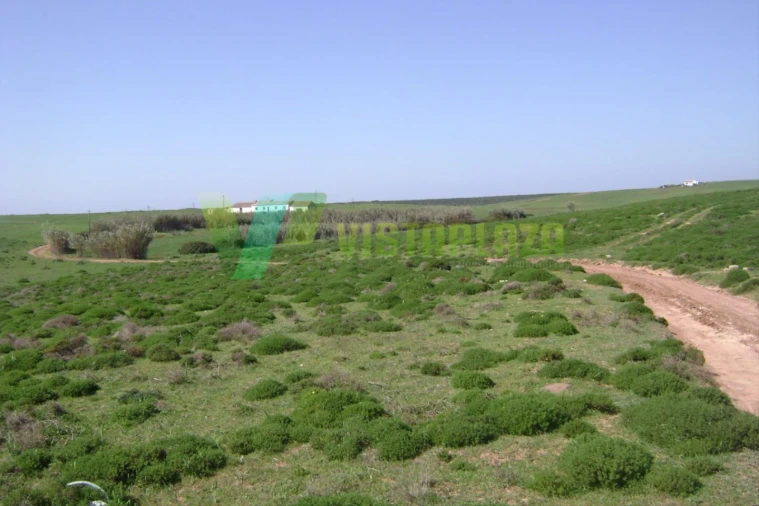 Terreno para Venda em Vila de Sagres Foto 2