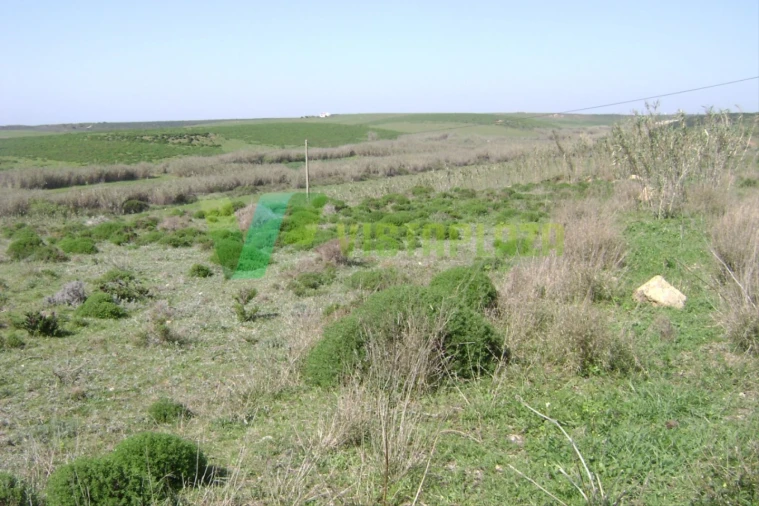 Terreno para Venda em Vila de Sagres Foto 9