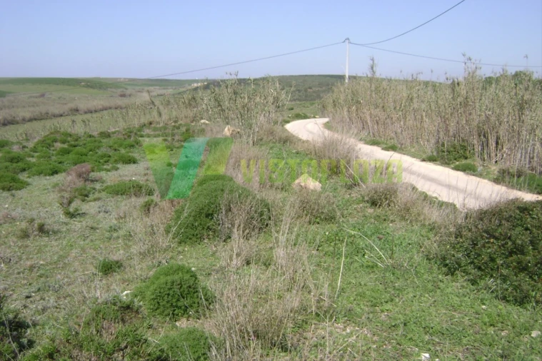 Terreno para Venda em Vila de Sagres Foto 10
