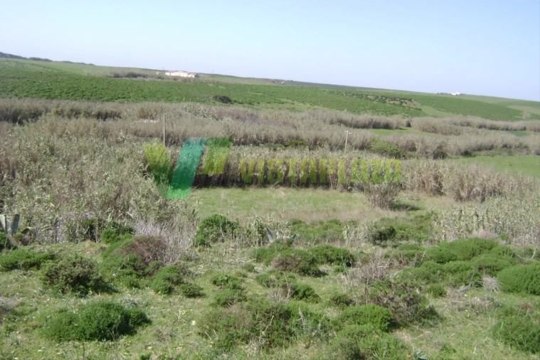 Terreno para Venda em Vila de Sagres Foto 11