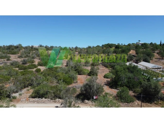 Terreno Agricola ou Rústico para Venda em São Bartolomeu de Messines Foto 5