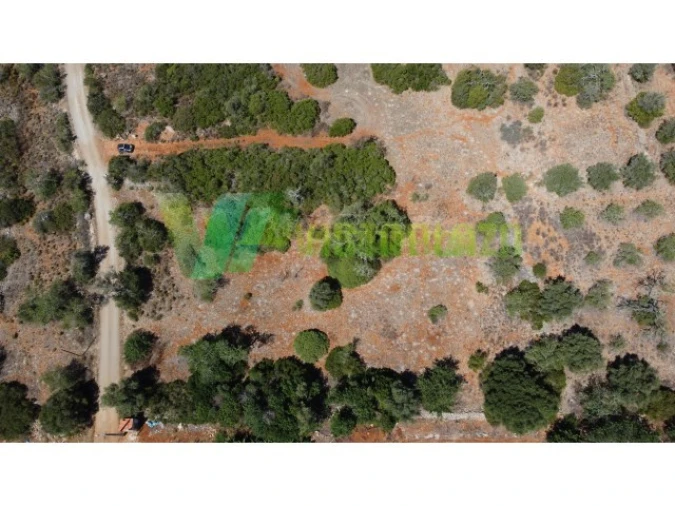 Terreno Agricola ou Rústico para Venda em São Bartolomeu de Messines Foto 6