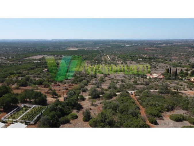 Terreno Agricola ou Rústico para Venda em São Bartolomeu de Messines Foto 8