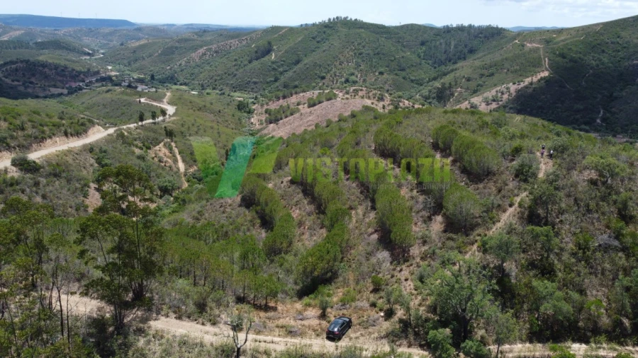 Terreno Agricola ou Rústico para Venda em São Bartolomeu de Messines Foto 12