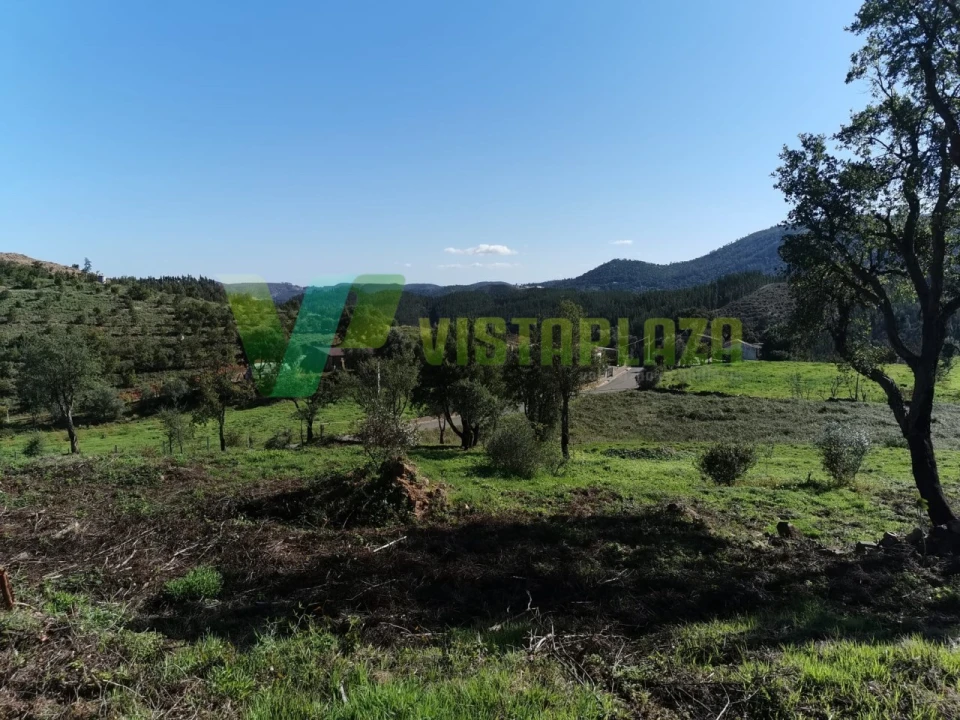Terreno Misto para Venda em Alferce Foto 3