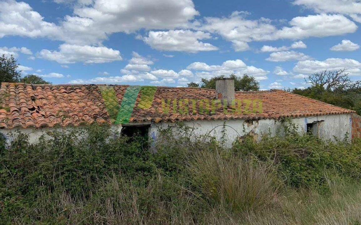 Terreno Misto para Venda em São Teotónio Foto 6