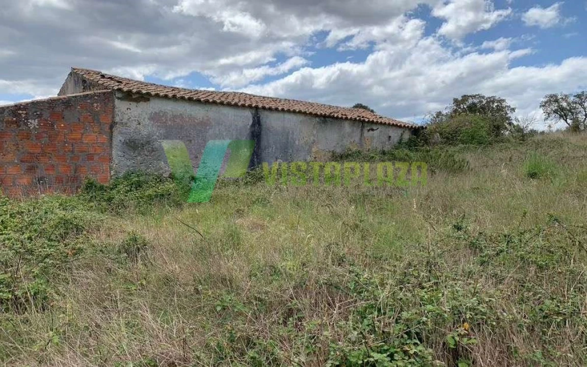 Terreno Misto para Venda em São Teotónio Foto 7