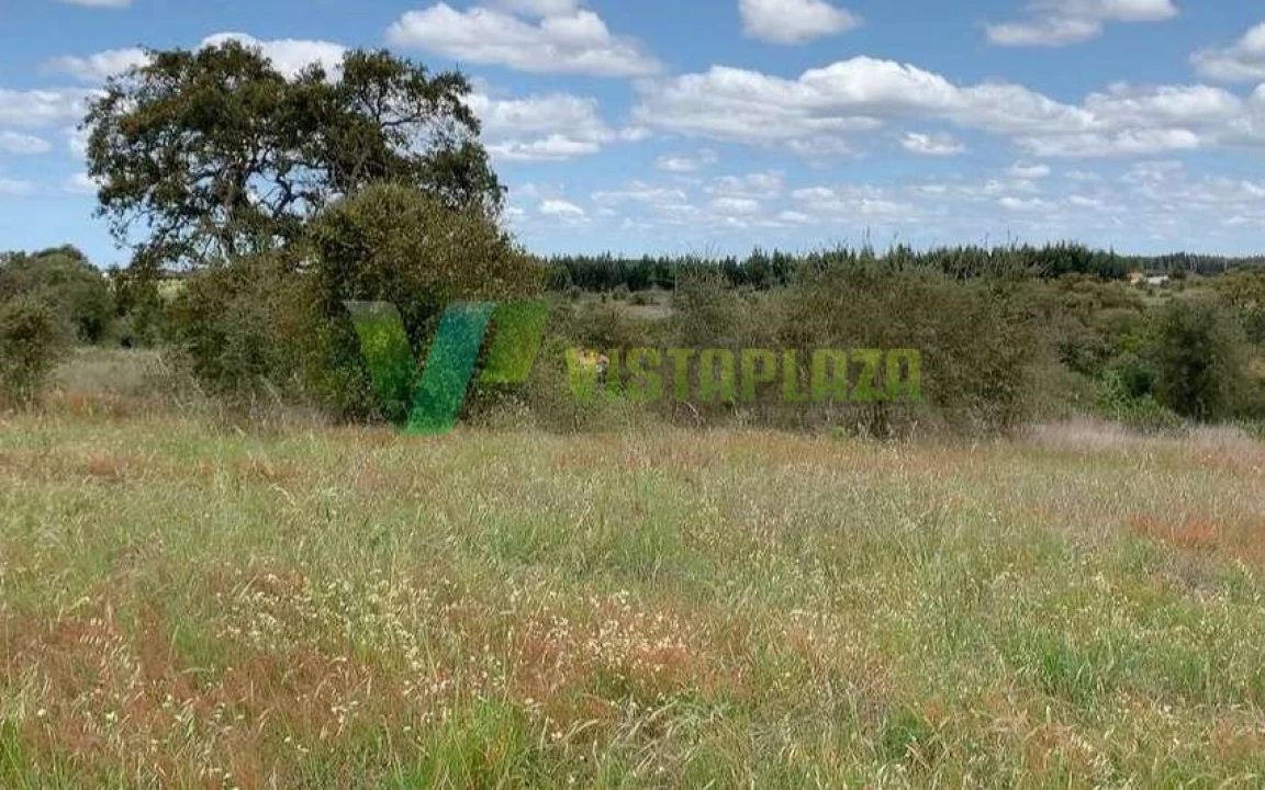 Terreno Misto para Venda em São Teotónio Foto 9