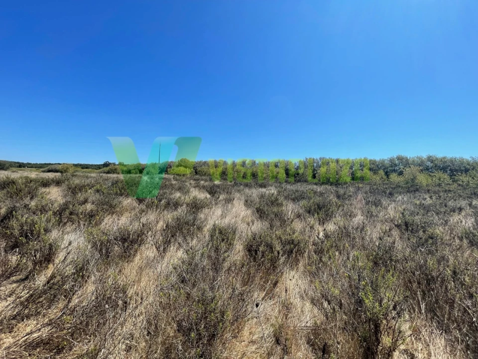 Terreno Misto para Venda em São Teotónio Foto 18