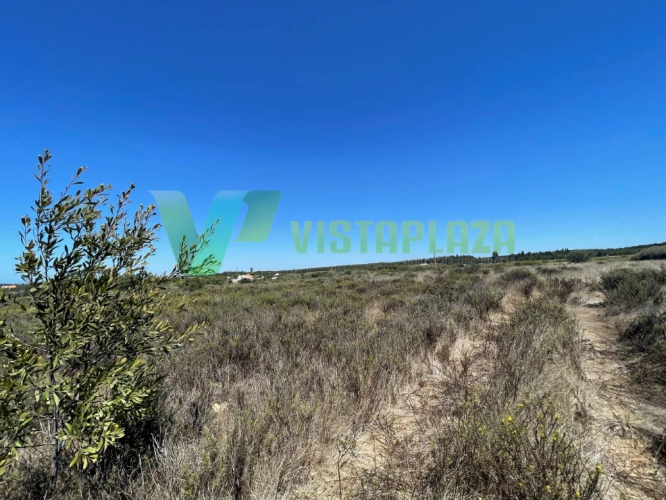 Terreno Misto para Venda em São Teotónio Foto 19