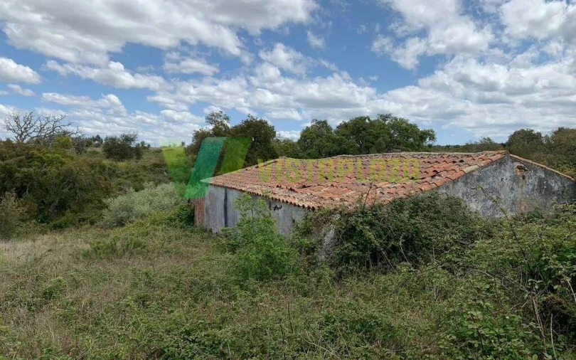 Terreno Misto para Venda em São Teotónio Foto 3