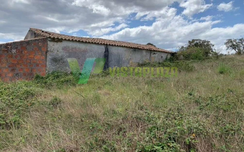 Terreno Misto para Venda em São Teotónio Foto 7