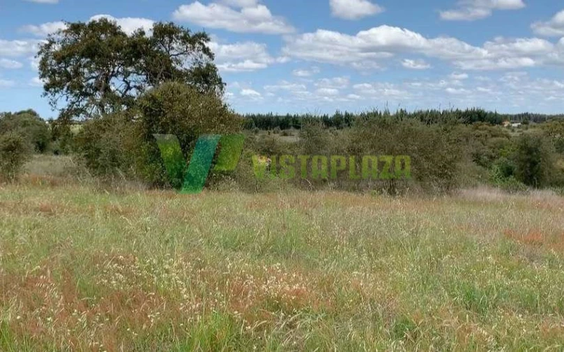Terreno Misto para Venda em São Teotónio Foto 9