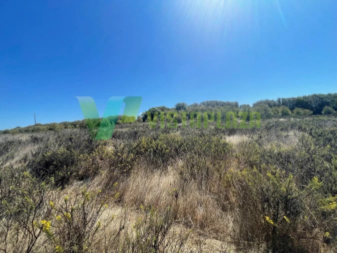 Terreno Misto para Venda em São Teotónio Foto 15