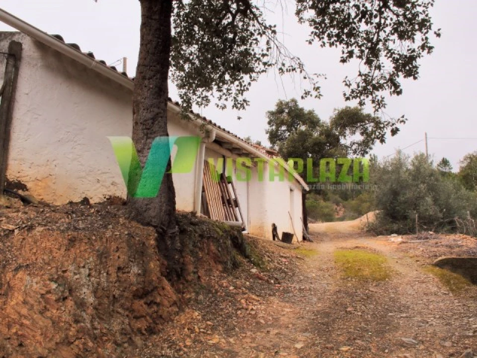 Quinta T3 para Venda em Monchique Foto 18