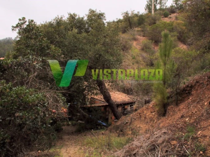 Quinta T3 para Venda em Monchique Foto 15