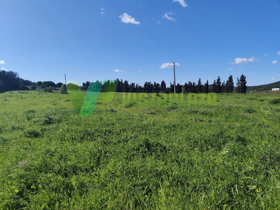 Terreno Agricola ou Rústico para Venda em Bensafrim e Barão de São João Foto 2