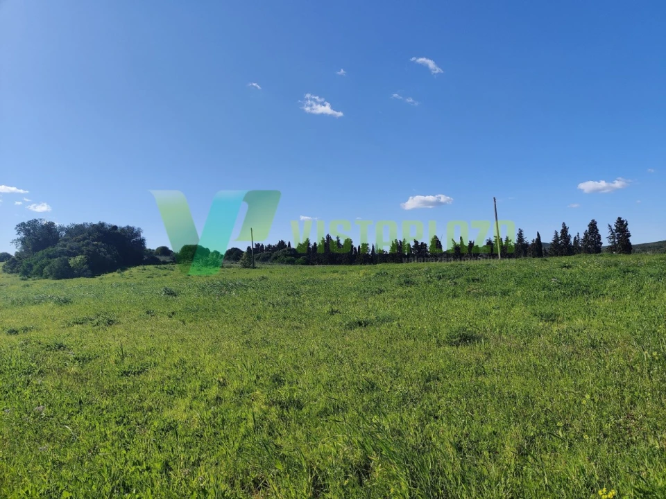 Terreno Agricola ou Rústico para Venda em Bensafrim e Barão de São João Foto 4