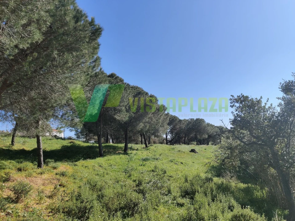 Terreno Agricola ou Rústico para Venda em Bensafrim e Barão de São João Foto 3