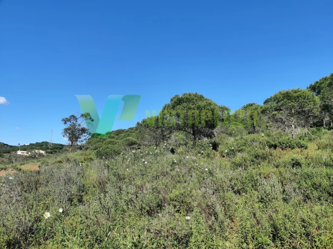 Terreno Agricola ou Rústico para Venda em Bensafrim e Barão de São João Foto 4