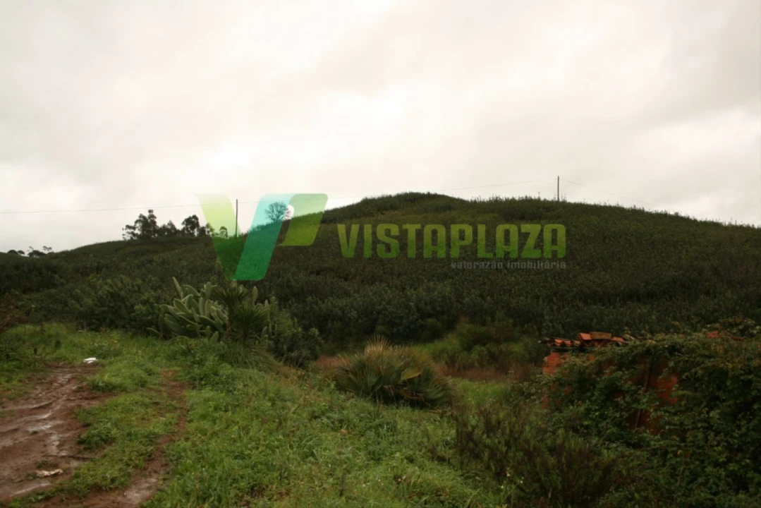 Terreno para Venda em Mexilhoeira Grande Foto 3