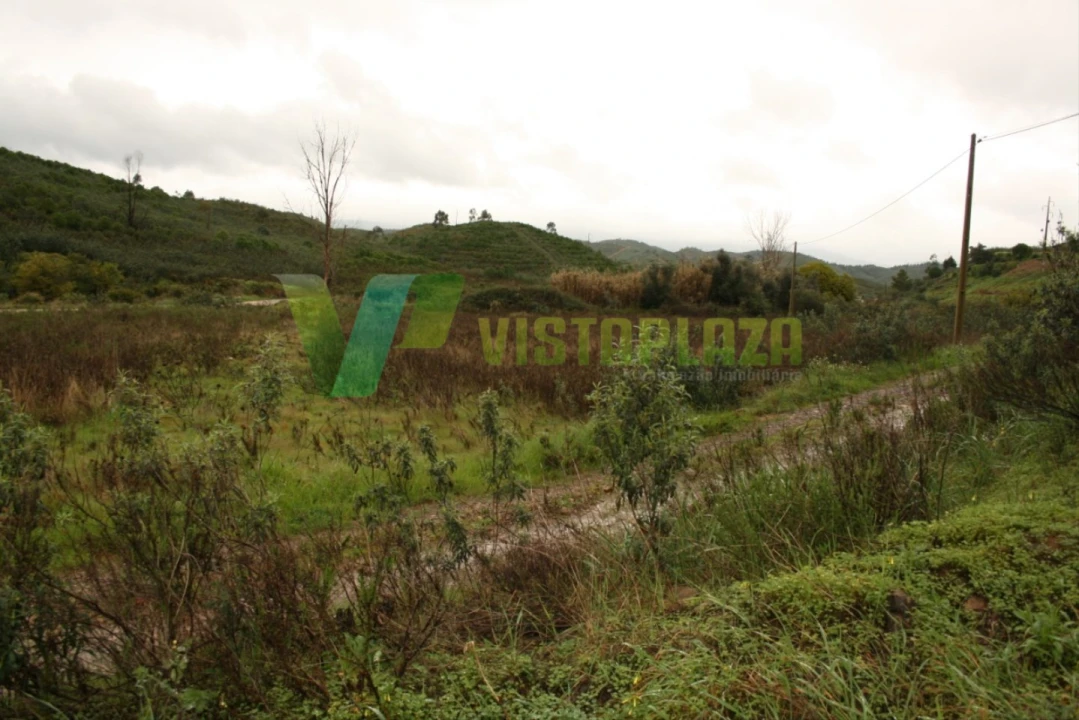 Terreno para Venda em Mexilhoeira Grande Foto 7