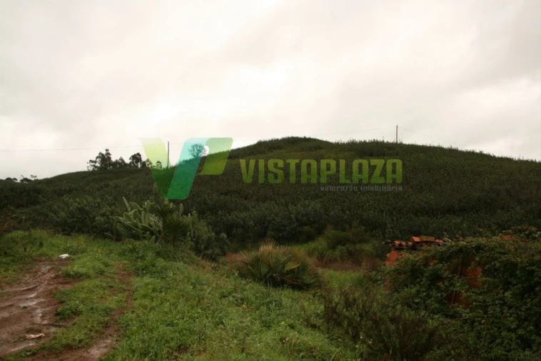 Terreno para Venda em Mexilhoeira Grande Foto 3