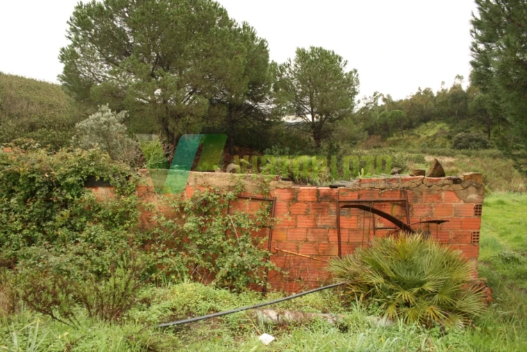 Terreno para Venda em Mexilhoeira Grande Foto 4