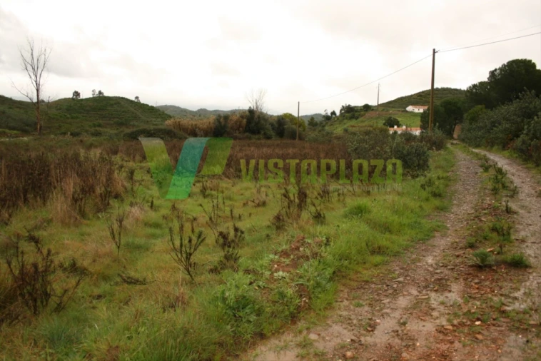 Terreno para Venda em Mexilhoeira Grande Foto 8