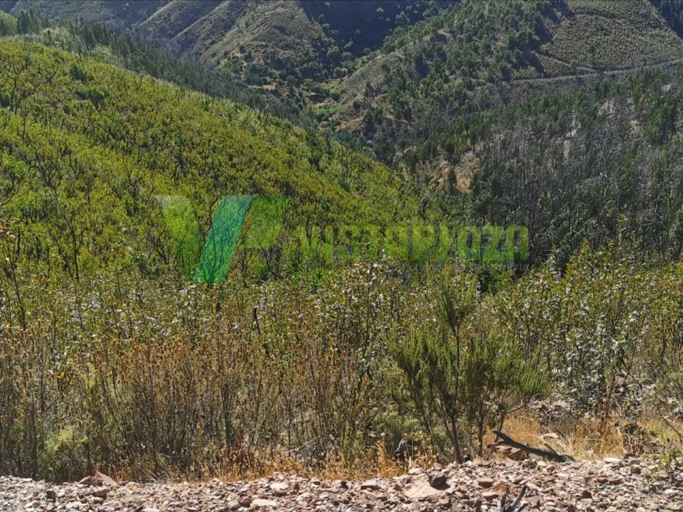 Terreno Agricola ou Rústico para Venda em Alferce Foto 5