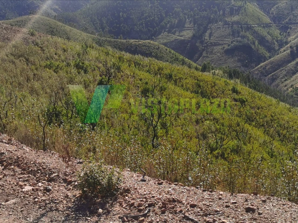 Terreno Agricola ou Rústico para Venda em Alferce Foto 6