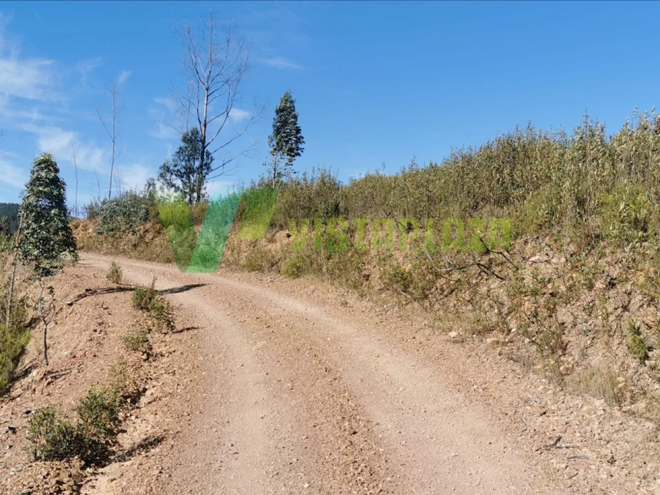 Terreno Agricola ou Rústico para Venda em Alferce Foto 9
