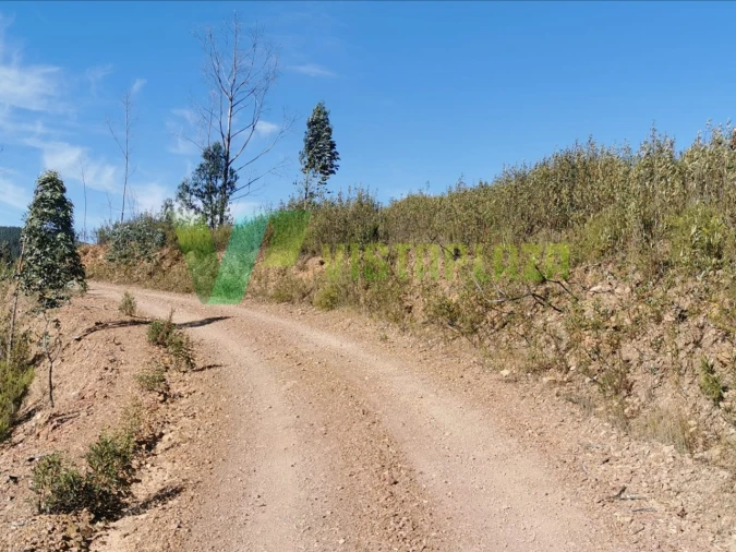 Terreno Agricola ou Rústico para Venda em Alferce Foto 9