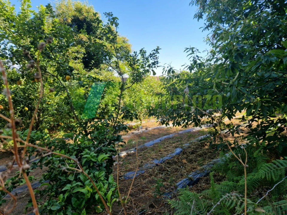 Terreno Agricola ou Rústico para Venda em Monchique Foto 2