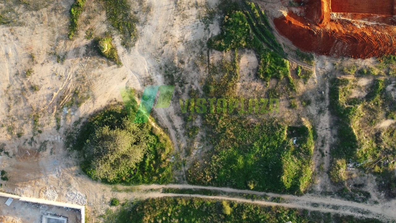 Terreno para Venda em Alcantarilha e Pêra Foto 5