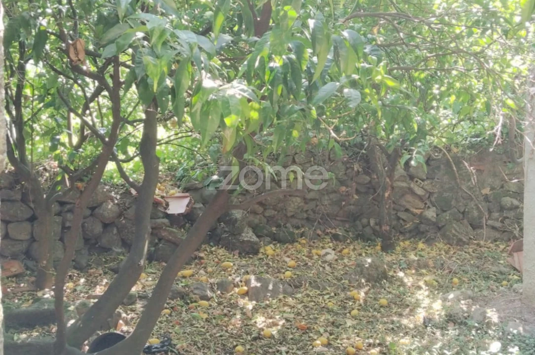 Moradia T2 para Venda em São Paio Foto 9