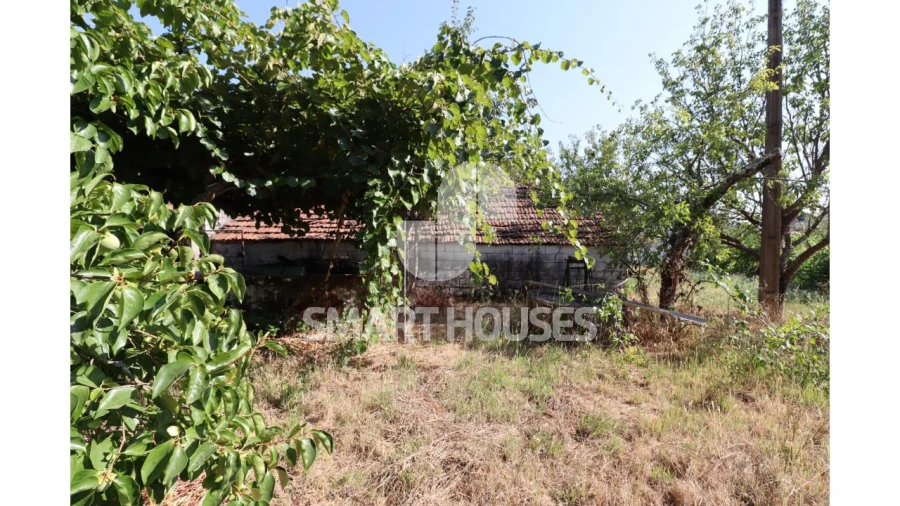 Moradia T2 para Venda em Santa Comba Dão e Couto do Mosteiro Foto 31