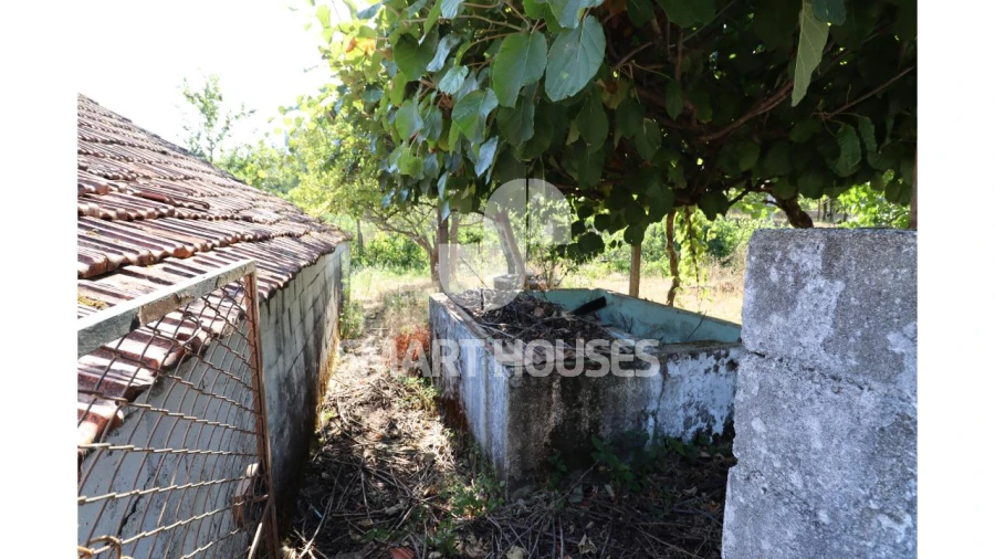 Moradia T2 para Venda em Santa Comba Dão e Couto do Mosteiro Foto 32