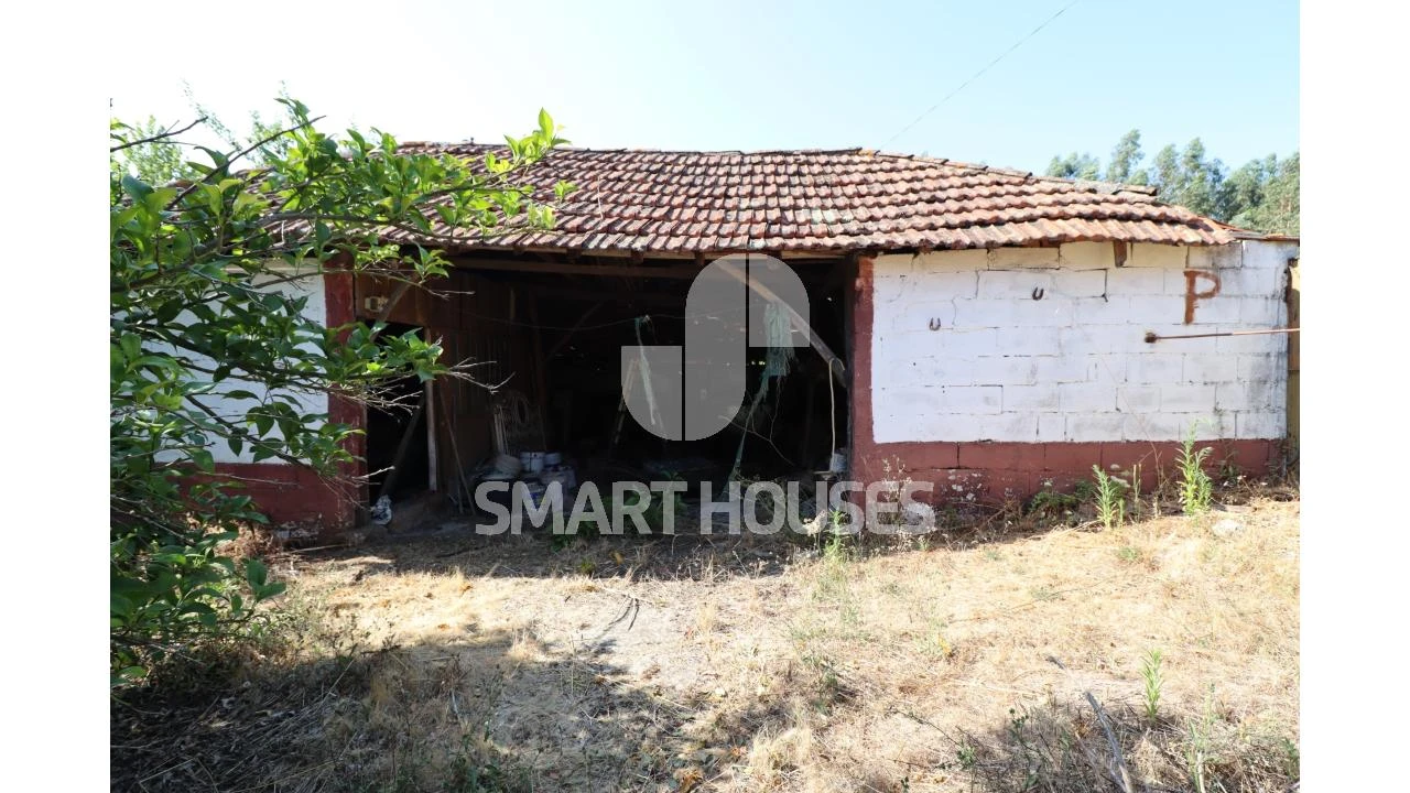 Moradia T2 para Venda em Santa Comba Dão e Couto do Mosteiro Foto 23