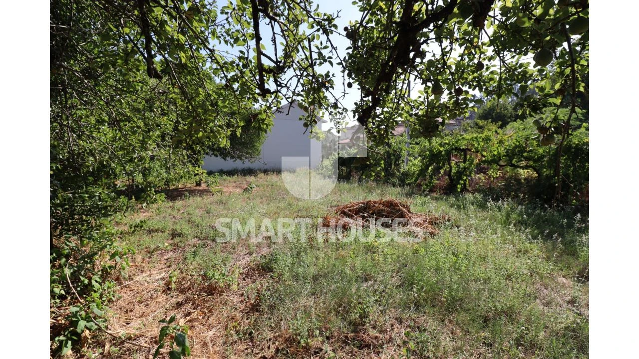 Moradia T2 para Venda em Santa Comba Dão e Couto do Mosteiro Foto 24