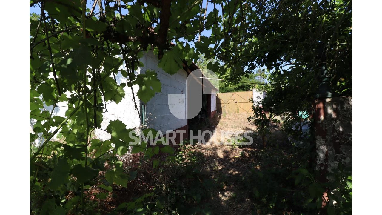 Moradia T2 para Venda em Santa Comba Dão e Couto do Mosteiro Foto 25